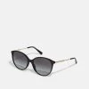 Michael Kors Femme CRUZ BAY Lunettes De Soleil Black